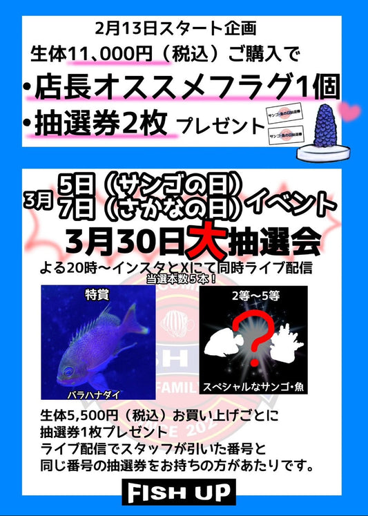 サンゴの日、さかなの日イベント