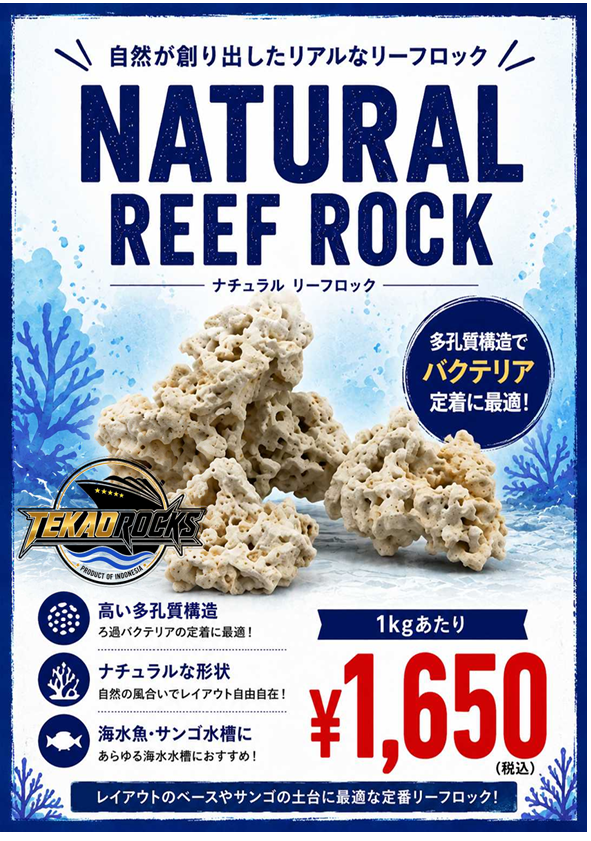 TEKAO ROCKS ナチュラル リーフロック 1kg – FISH UP