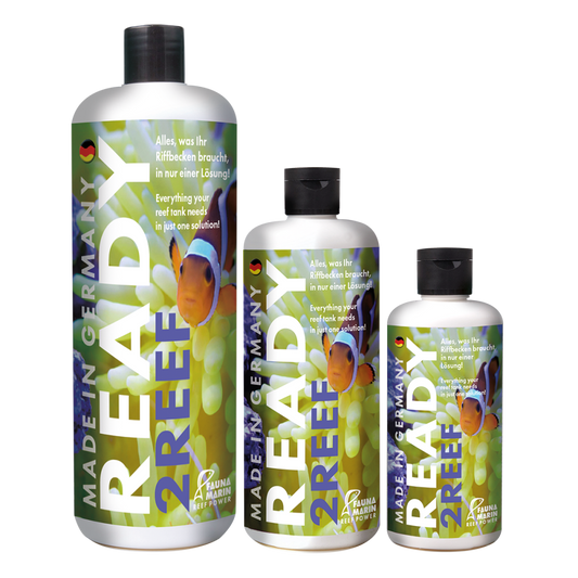 READY2REEF 500ml