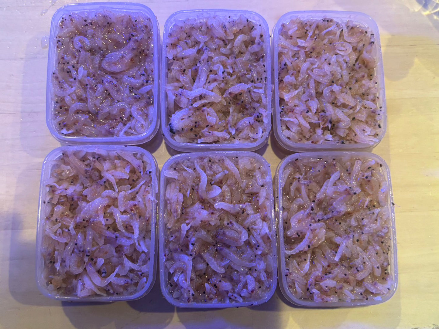 冷凍トゲナシオキアミ80g