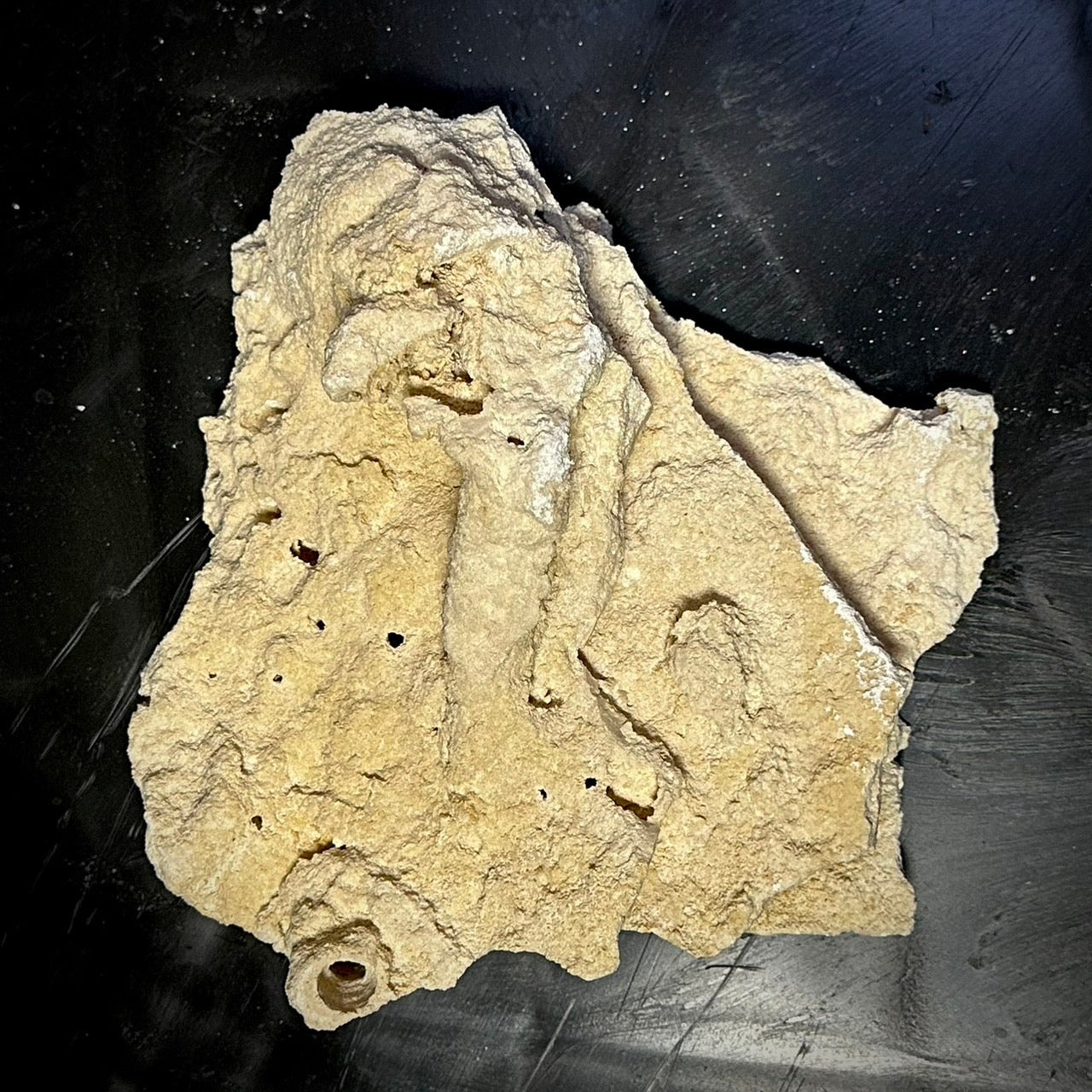 マルコロック(Plemium Shelf)棚