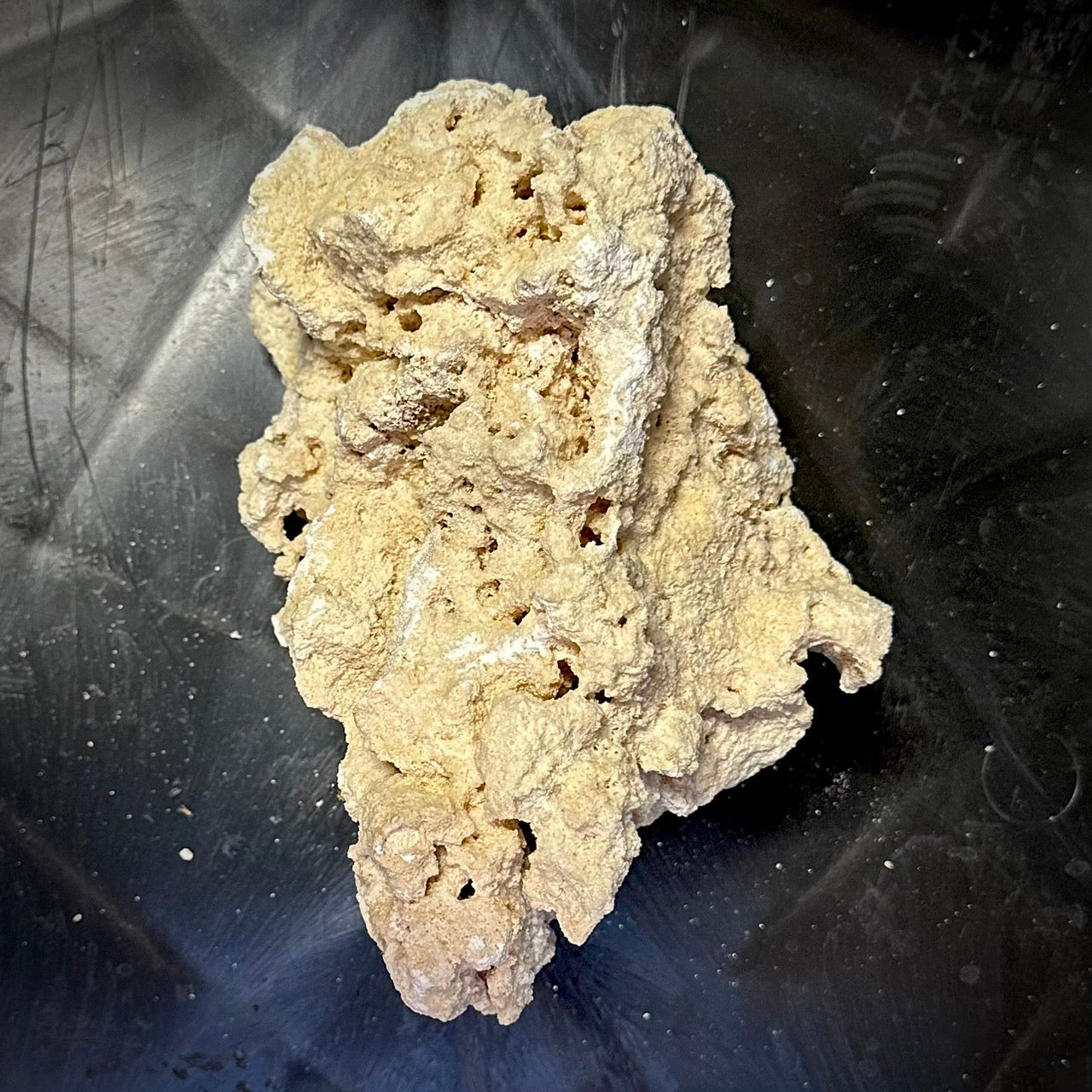 マルコロック(Hybrid Rock)塊上の棚