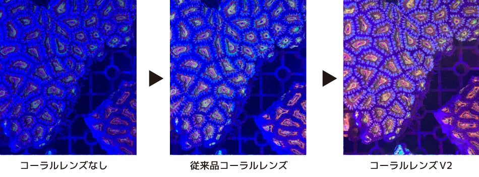 ZOOX Coral Lens V2プラス+(ゾックス)