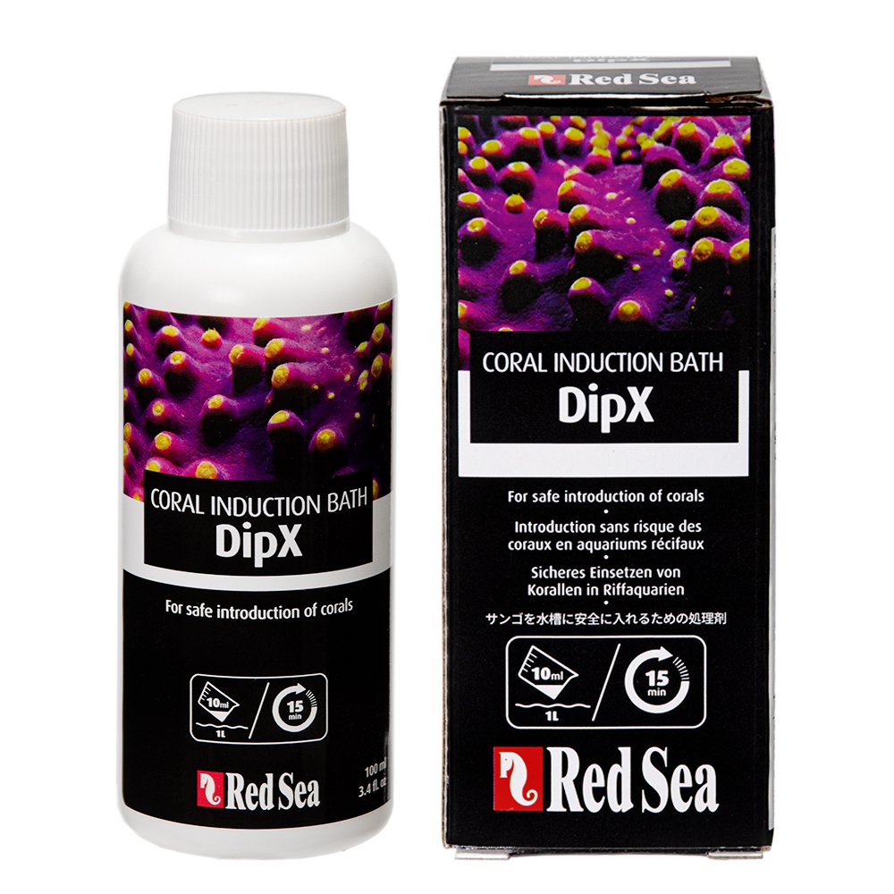 Dip X