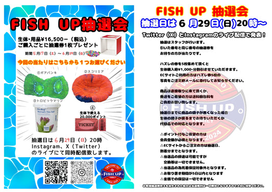 FISH UP抽選会　5.17（土）～6.29（日）