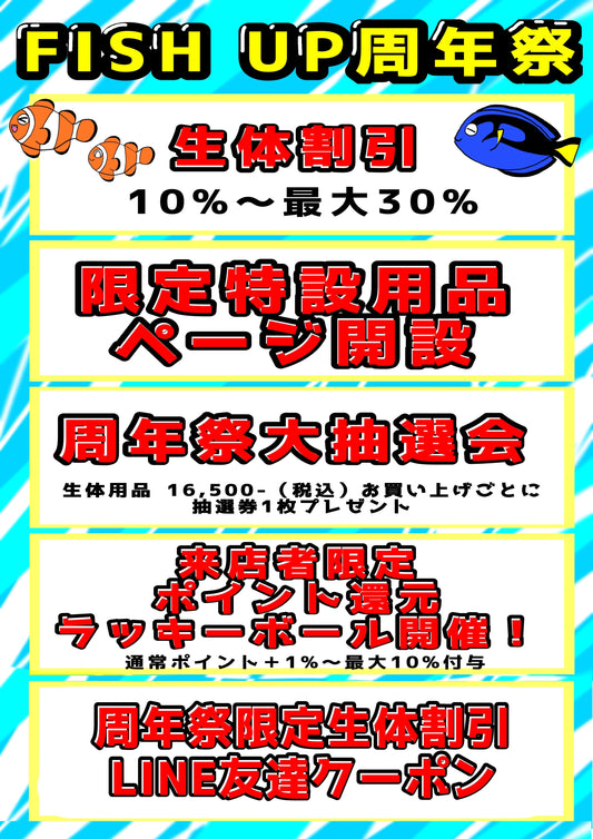 FISH UP周年祭のご案内(9/7~10/31)