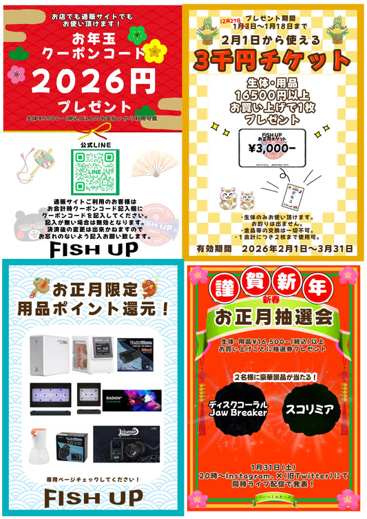 2026年もイベント盛り沢山