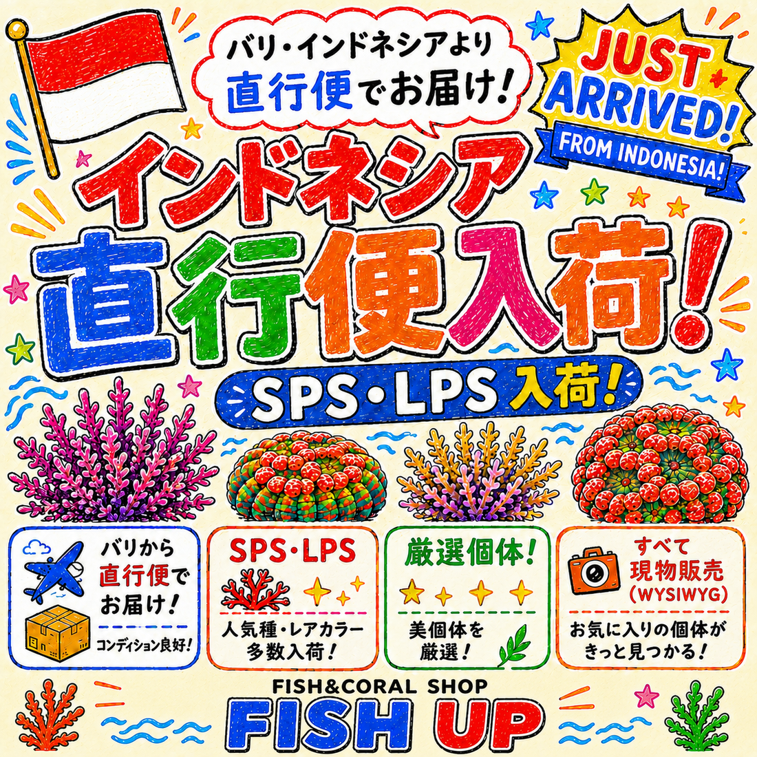 ✨ インドネシア直行便入荷！ ✨