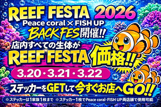 Reef Festa 2026開催