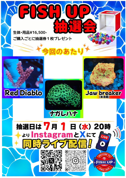 FISHUP抽選券プレゼント中！