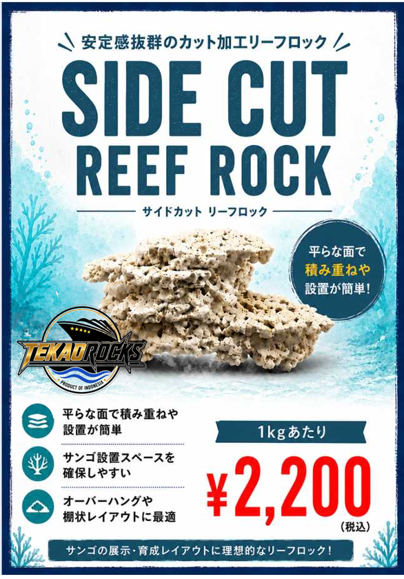 TEKAO ROCKS サイドカット リーフロック　1kg
