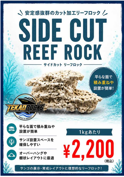 TEKAO ROCKS サイドカット リーフロック　1kg