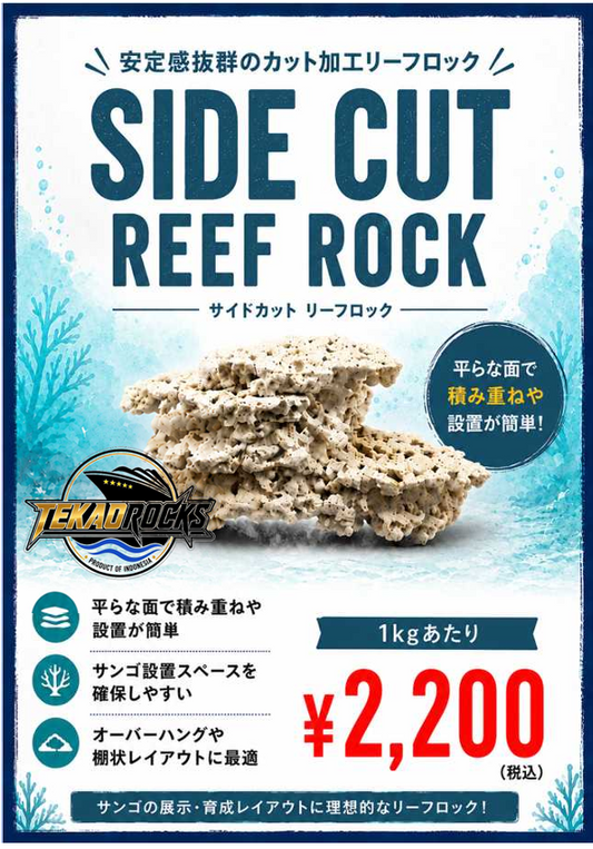 TEKAO ROCKS サイドカット リーフロック　1kg
