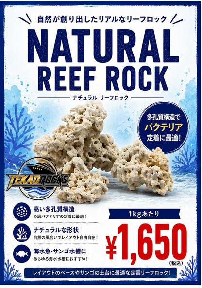 TEKAO ROCKS ナチュラル リーフロック　1kg