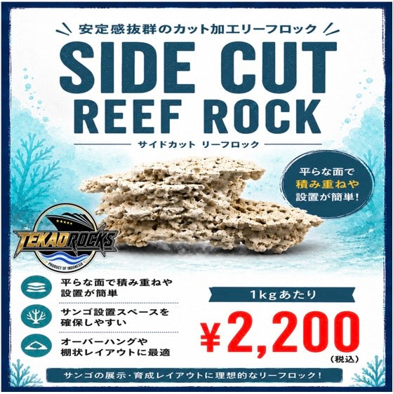 TEKAO ROCKS サイドカット リーフロック　1kg