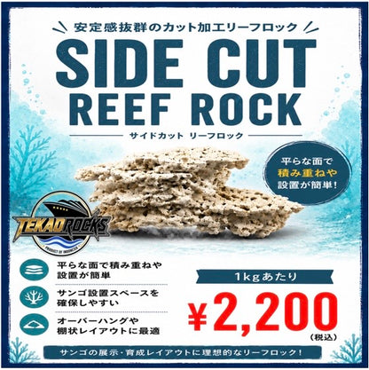 TEKAO ROCKS サイドカット リーフロック　1kg