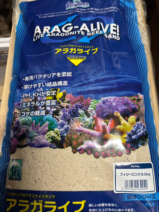 アラガライブ　フィジーピンク（9.0Kg）