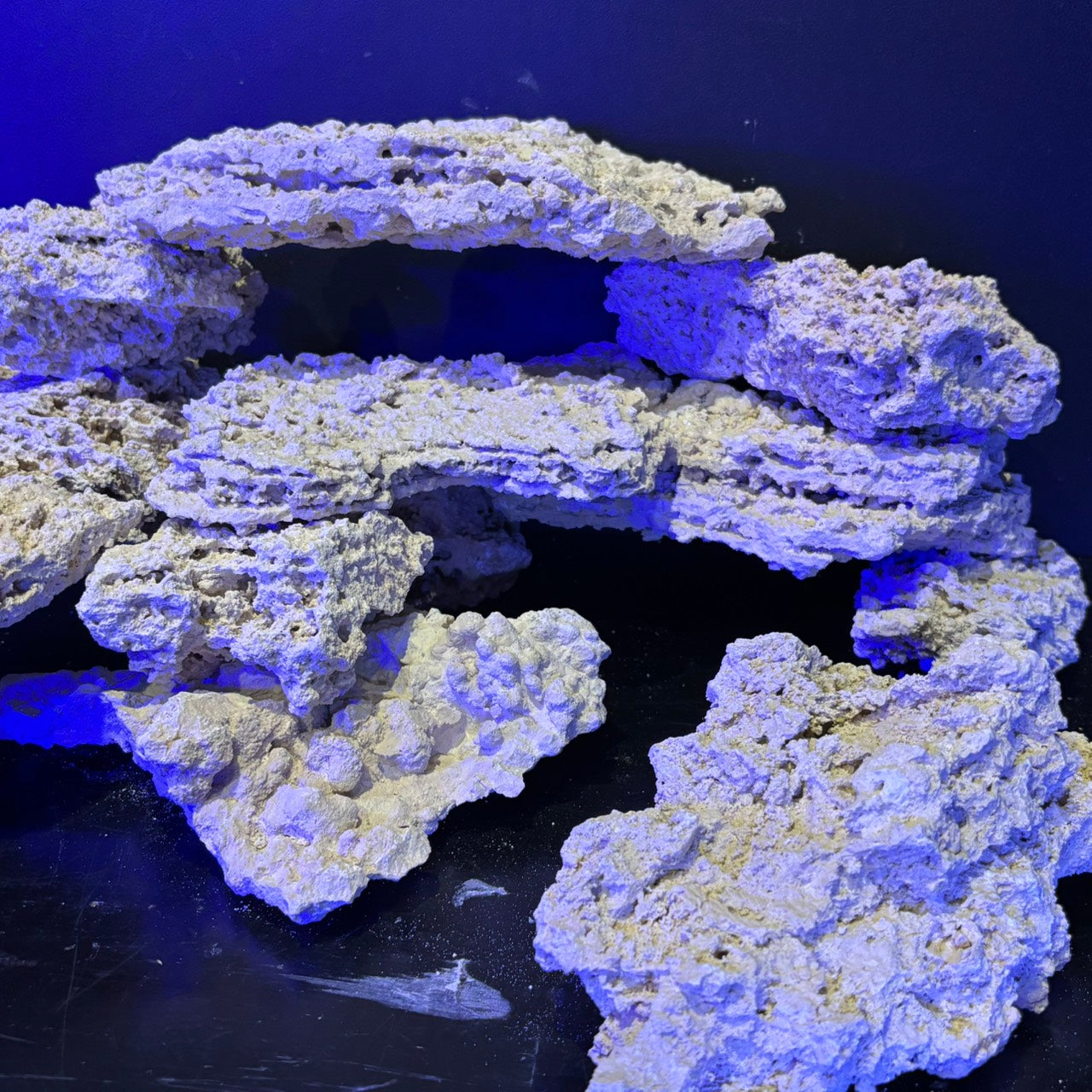 TEKAO ROCKS プレミアム シェルロック　1kg