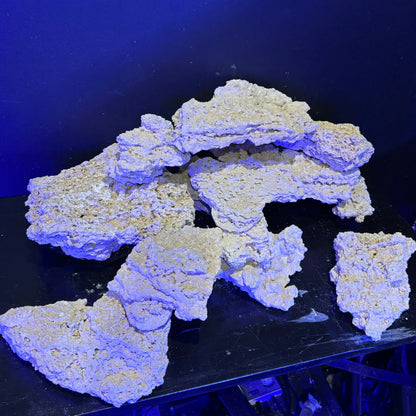 TEKAO ROCKS プレミアム シェルロック　1kg