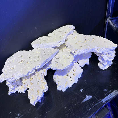 TEKAO ROCKS サイドカット リーフロック　1kg