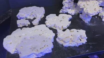 TEKAO ROCKS サイドカット リーフロック　1kg