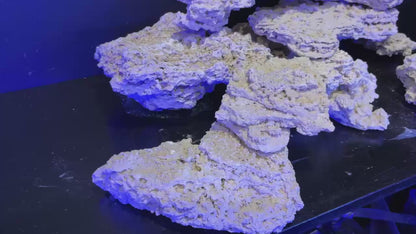 TEKAO ROCKS プレミアム シェルロック　1kg