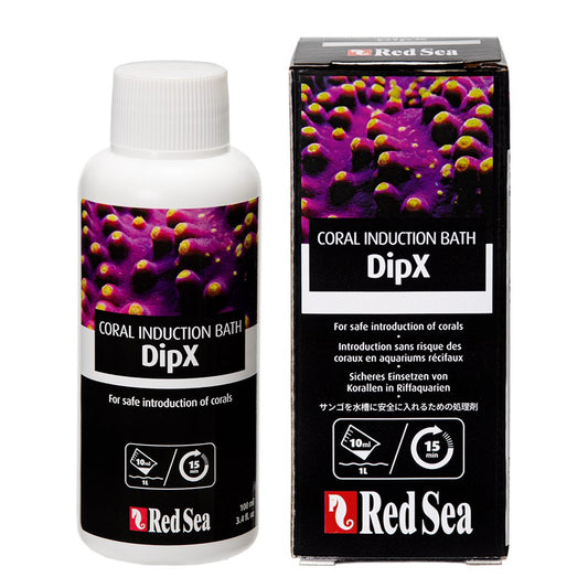 Dip X